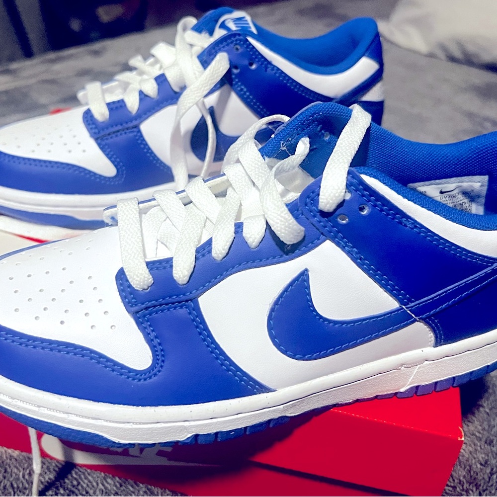 New in box Nike Dunks Low GS